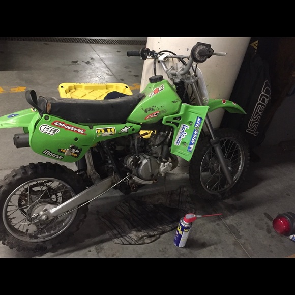 Meet your Posher, Logan - Picture 1 of 1